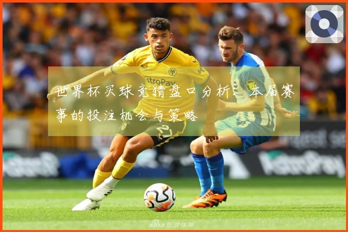 世界杯买球竞猜盘口分析：本届赛事的投注机会与策略